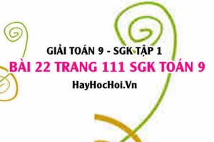 Giải bài 22 trang 111 SGK Toán 9 tập 1